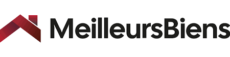Logo Client 1