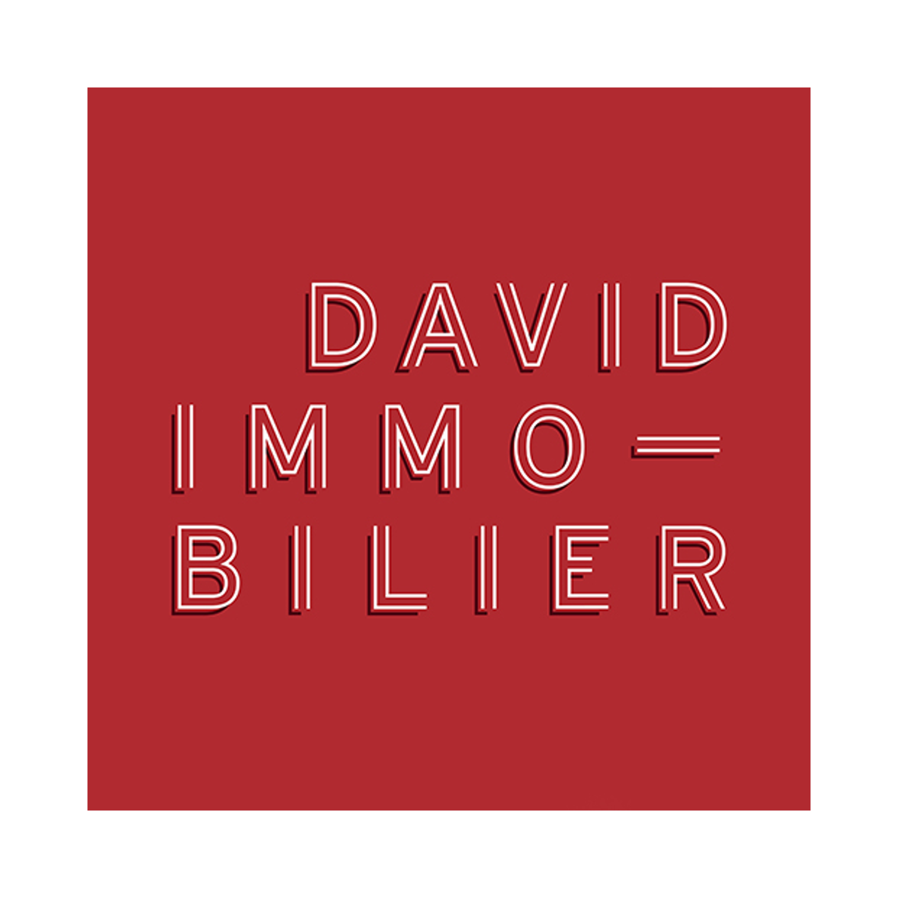 Squarimo partenaire - DAVID IMMOBILIER Logo